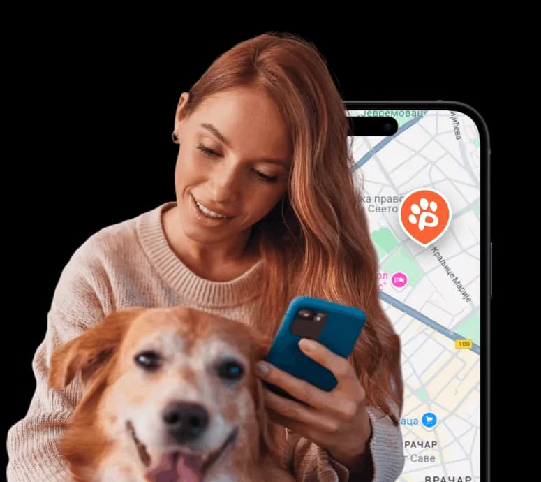 Be a responsible owner!