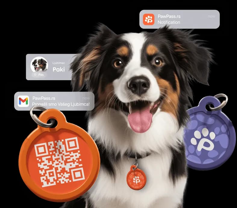 Safe pet, happy owner!