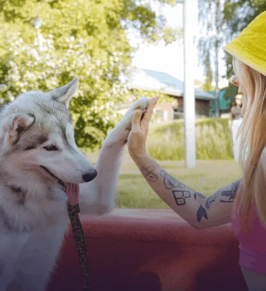 I feel safer with the PawPass tag. My dog Roki once ran away, but thanks to the tag, they quickly contacted me and found him. This small addition means everything to our family!